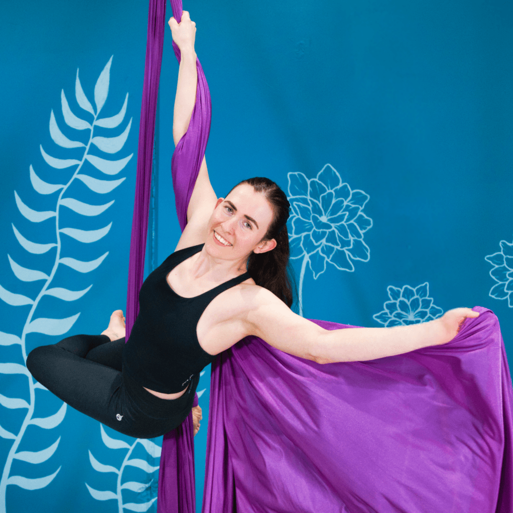 Aerial silks