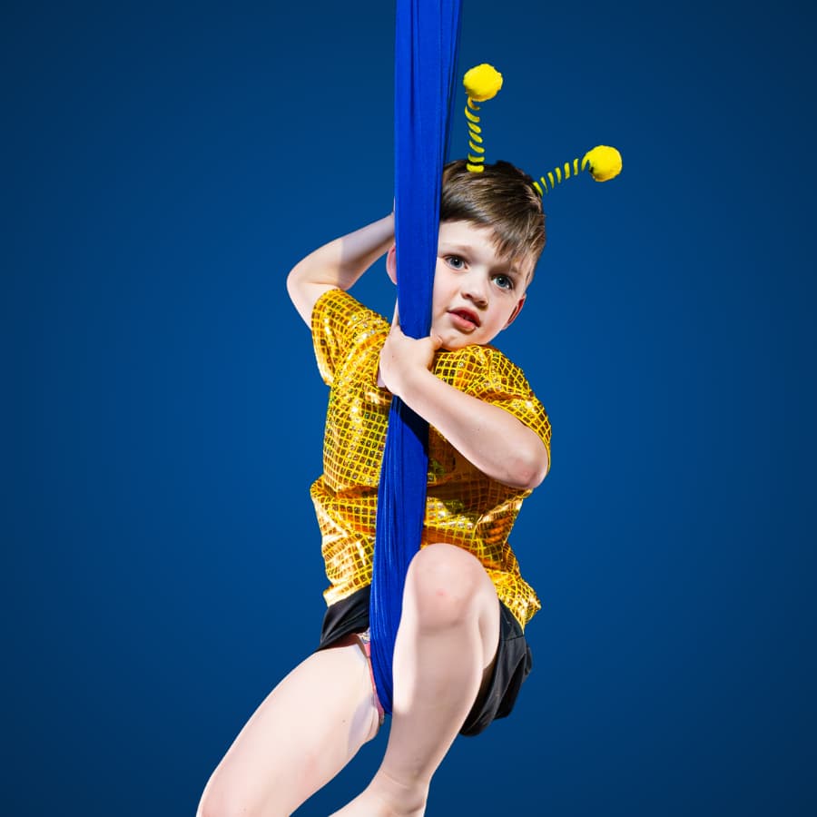 Learn more about Mixed Aerial Circus classes