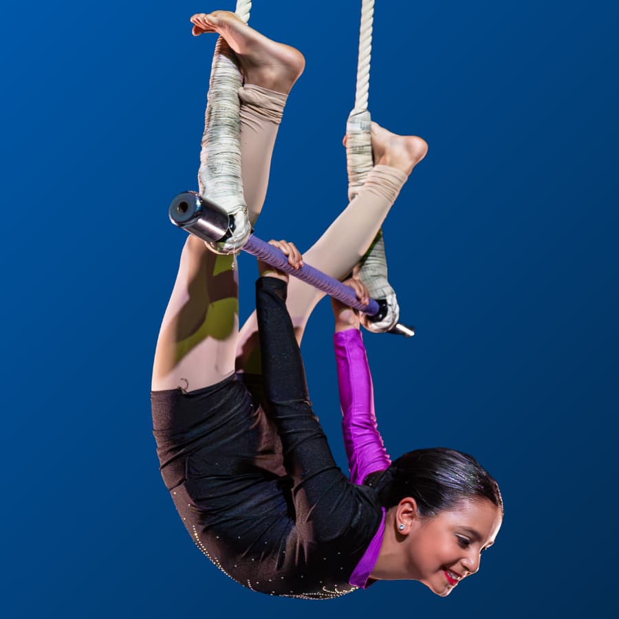 Learn more about Mixed Aerials classes